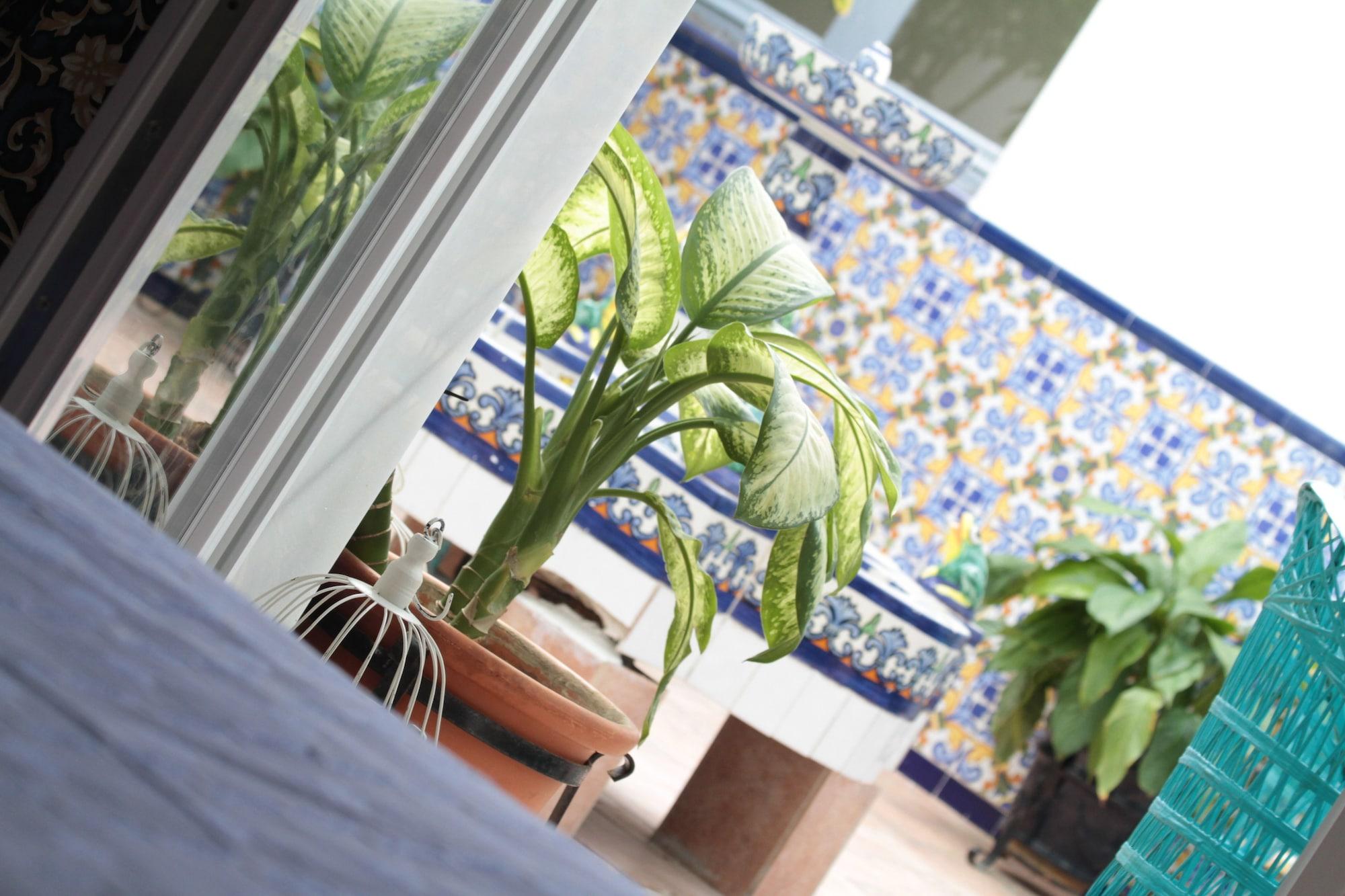 Hotel Mediterraneo Carihuela Torremolinos